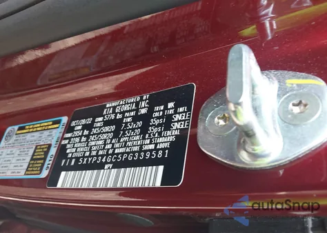 2023 Kia Telluride Ex z USA, uszkodzony, nr VIN 5XYP34GC5PG339581